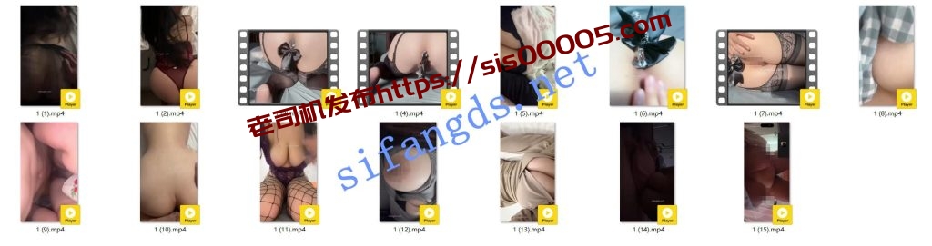 抖音 小猫日记 木瓜巨乳 露点 一对一+做爱 肛塞等【15V】【111M】